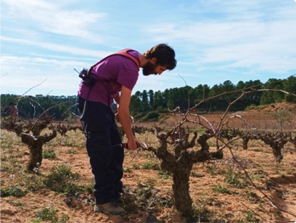 Bodega Escuadra
